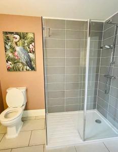 a bathroom with a shower and a toilet at Hurdley House-Georgian Town House in Montgomery