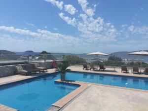 a swimming pool with chairs and umbrellas at Issaquena Heights Boutique Hotel in Knysna