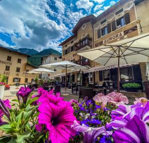 Hotel Aurora في Vallarsa: حفنة من الزهور الأرجوانية أمام المبنى