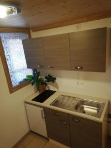 eine kleine Küche mit einem Waschbecken und einem Fenster in der Unterkunft Haberjockelshof in Titisee-Neustadt
