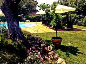 a potted tree in a pot next to a swimming pool at Do Ciacole In Relais in Mira