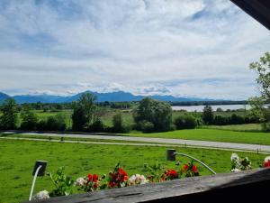 una vista de un campo con flores y una carretera en Gasthof Chiemseefischer en Grabenstätt