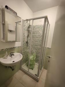 een badkamer met een douche en een wastafel bij La Casina in Passignano sul Trasimeno