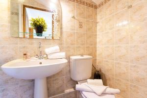 a bathroom with a toilet and a sink and a mirror at BELVEDERE AP1059 Villefranche-sur-Mer by Riviera Holiday Homes in Villefranche-sur-Mer
