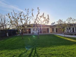 a yard with two trees in front of a house at CAMERE de INCHIRIAT CRIS&DIA in Eforie Sud