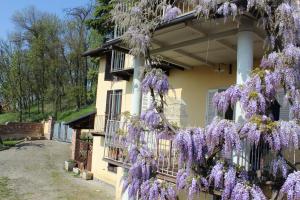 a house covered in wisteria in the springtime at Dimora al Castello in Govone