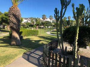 a fence in a park with trees and palm trees at Luxury apartment in Zahara beach in Zahara de los Atunes