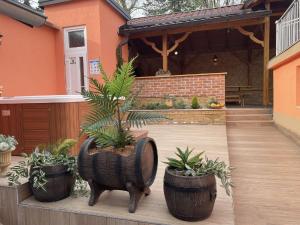 Vonkajšia záhrada v ubytovaní Holiday&wellness house Grofica