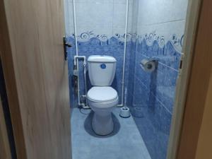 - une salle de bains pourvue de toilettes dans une chambre dotée de carrelage bleu dans l'établissement Apartment for good feelings, à Sevan