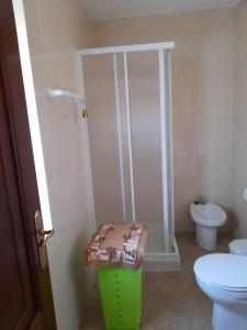 a bathroom with a shower and a toilet and a stool at Apartamento Playa de Esteiro in Ribadeo