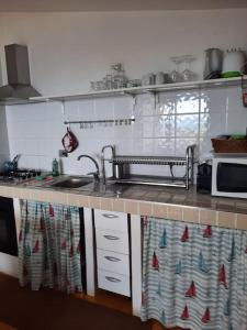 a kitchen counter with a sink and a microwave at Verde Blu Lakefront Boutique Holiday Apartments Trevignano Romano in Trevignano Romano