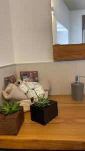 a living room with a bed and two plants at API Tenna Apartaments Betulla 2 in Tenna 