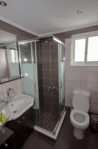 ein Bad mit einer Dusche, einem WC und einem Waschbecken in der Unterkunft Horio House in Límni