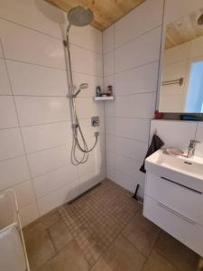 ein Bad mit einer Dusche und einem Waschbecken in der Unterkunft Charismatisch und gemütlich in Güttingen, nah zum Buchensee und Bodensee, tolle Lage in Radolfzell am Bodensee
