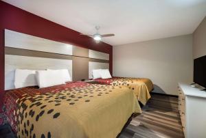 Postel nebo postele na pokoji v ubytování Econo Lodge Inn & Suites