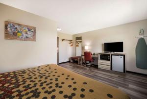 カナンデーグアにあるEcono Lodge Inn & Suitesのベッド1台、薄型テレビが備わるホテルルームです。