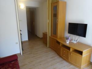 Apartment and Rooms Milena TV 또는 엔터테인먼트 센터