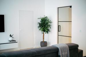 un salon avec un canapé et une plante en pot dans l'établissement City centre luxury apartment, à Zagreb