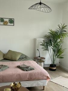 - une chambre avec un lit et une plante en pot dans l'établissement Studio T à 5mn euro airport avec terrasse, à Saint-Louis