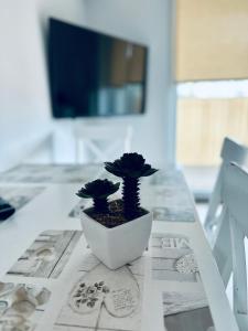 a table with two potted plants on top of it at AL-Dom Apartamenty Apartament Anioł in Kołobrzeg