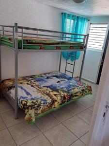 巴斯特爾的住宿－location Maison Basse-Terre GUADELOUPE，一间卧室配有两张双层床。
