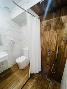a bathroom with a toilet and a shower curtain at Fortune Hotel in Yerevan