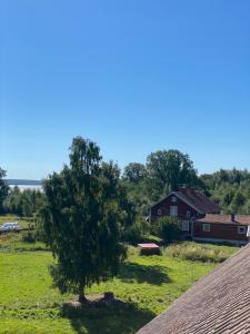 un árbol en un campo al lado de una casa en Tjänstebostaden på Storöns bondgård, en Otterbäcken