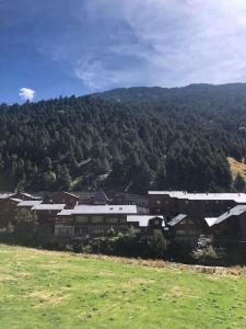 a group of buildings in front of a mountain at Casita de madera a Peu del Riu Incles - Sol y Nieve - Parking incluido in Incles