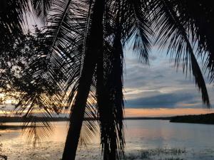 Fotografie z fotogalerie ubytování Cosmic Connect Trails Kabini v destinaci Antarasante