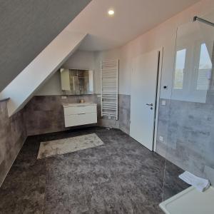an attic bathroom with a sink and a shower at DM Hotes & Apartments - Apartment Rasenweg in Dingelstädt