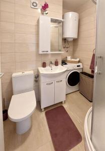 a small bathroom with a toilet and a sink at Apartment Oliva in Knin