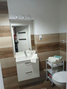 W łazience znajduje się umywalka, toaleta i lustro. w obiekcie Apartament u Ani we Wrocławiu
