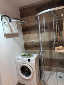 La salle de bains est pourvue d'une douche et d'un lave-linge. dans l'établissement Apartament u Ani, à Wrocław