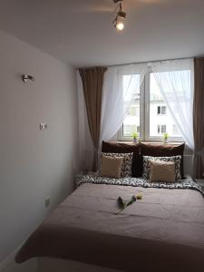 sypialnia z dużym łóżkiem i oknem w obiekcie Apartament u Ani we Wrocławiu
