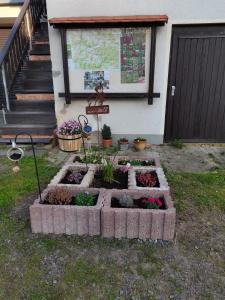 ogród przed domem z roślinami w obiekcie Ferienwohnungen Hering w mieście Kleingießhübel