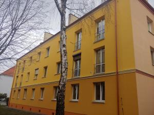 a yellow building with a tree in front of it at Barbara in Kalisz