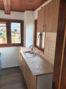 uma cozinha com um lavatório e uma janela em La Hacienda em Cheţani
