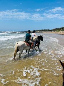 due persone che cavalcano attraverso l'acqua sulla spiaggia di Kob Inn Beach Resort a Qora Mouth