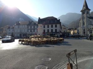 Un rebaño de ovejas caminando por una calle de la ciudad en Appartement rue de la cascade 64440 Eaux-Bonnes, en Eaux-Bonnes
