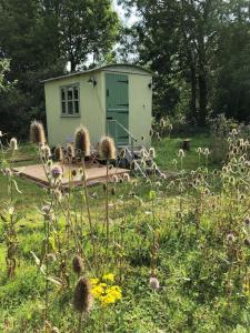a small shed in the middle of a field of flowers at The Warren - Cosy Shepherds Hut in beautiful wild meadow in Halesworth