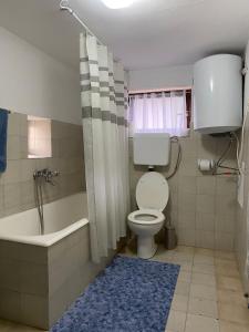 a bathroom with a toilet and a tub and a sink at Cultural monument House Vecchia in Otočac