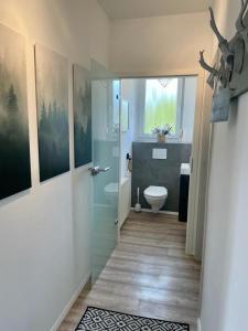 a bathroom with a shower and a toilet in it at Maintal Relax in Michelau