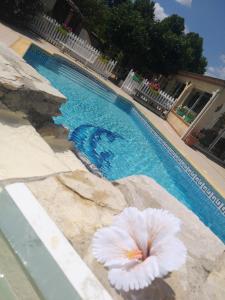 Fotografia z galérie ubytovania GITE T2 AVEC GRANDE PISCINE v destinácii Villeneuve-la-Comptal