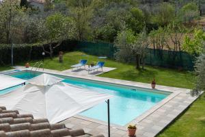 Gambar di galeri bagi Mugellese di Civitella in Val di Chiana