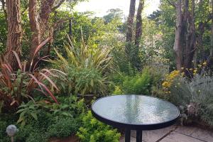 a black table in a garden with plants at Lauriston Stay in Birch