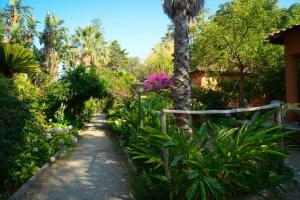 サン・ジョルジョにあるResidence le Palme Gardenのヤシの木と植物のある庭園