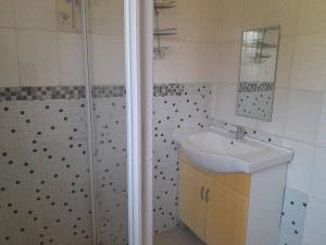 a bathroom with a sink and a shower at Slumber Lake Guest House in Roodepoort