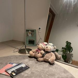 a group of stuffed animals sitting on top of a floor at Marong House in Geoje
