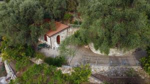 una vista aérea de una casa con escaleras y árboles en U Ciousu by Ligurian Life APPARTAMENTI IN AGRITURISMO, en Vallebona