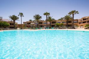 Fotografia z galérie ubytovania Home2Book Bright Apartment with Pool & Terrace v destinácii Corralejo
